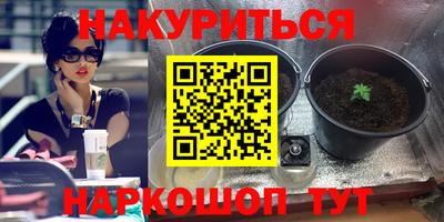 гашик Будённовск