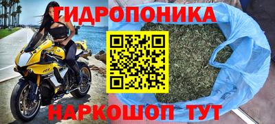 дмт Бузулук
