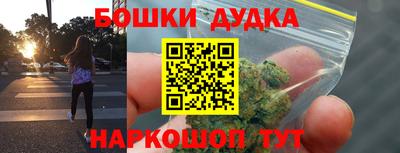 гашик Будённовск